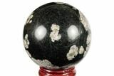Polished Snowflake Stone Sphere - Pakistan #187579-1